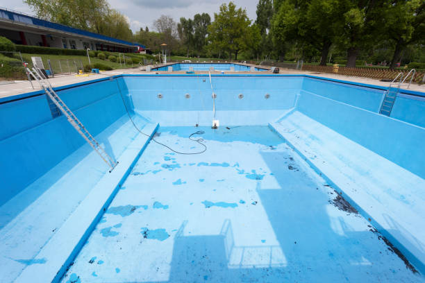 Best Flood damage cleanup  in Brighton, AL
