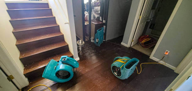 Best Commercial water damage restoration  in Brighton, AL
