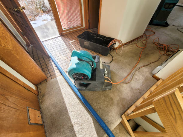 Sewage cleanup and water damage restoration in Brighton, AL