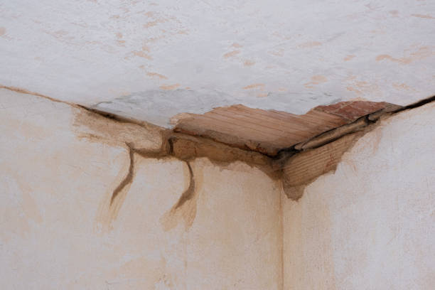 Brighton, AL Water damage restoration Company