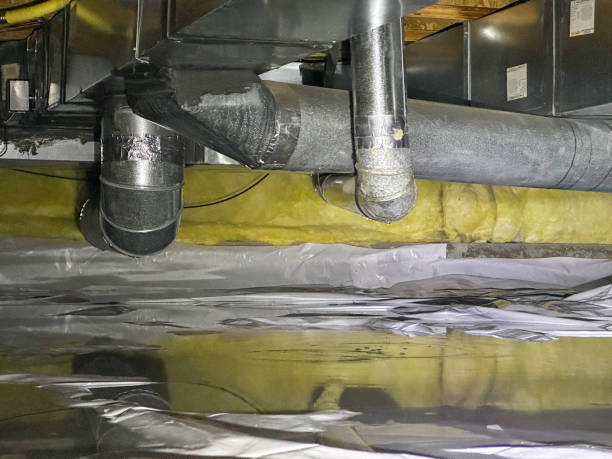 Carpet water damage restoration in Brighton, AL