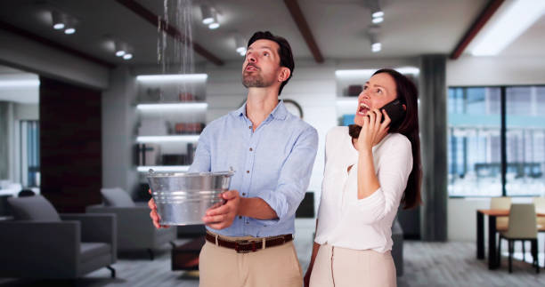 Best Fire Damage Restoration  in Brighton, AL