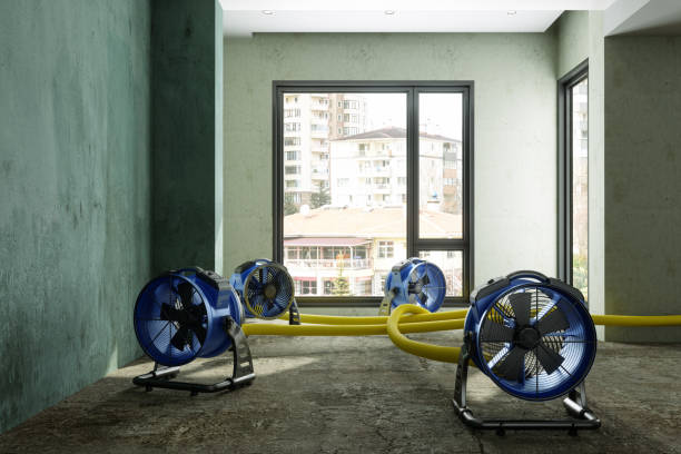 Best 24/7 water damage repair  in Brighton, AL