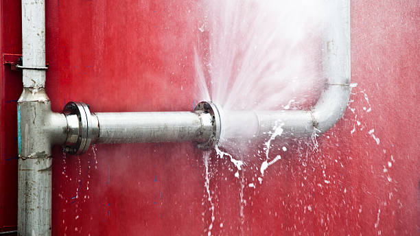 Best Flood damage cleanup  in Brighton, AL